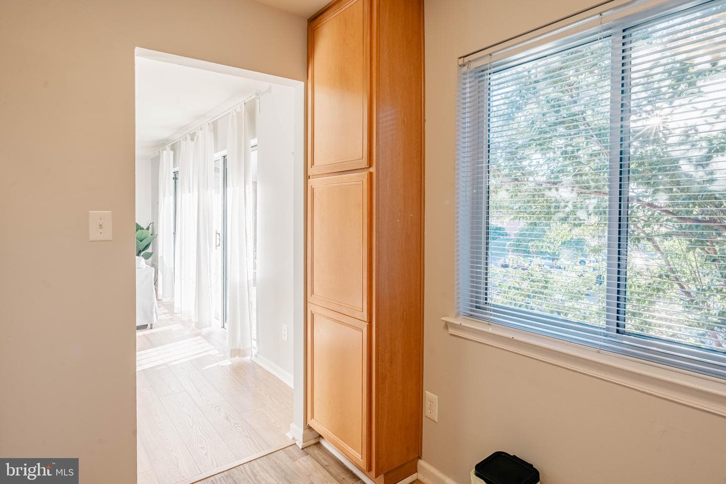 1805 William Street #209c photo 15