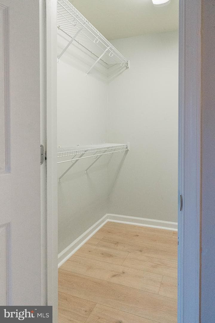 1805 William Street #209c photo 21
