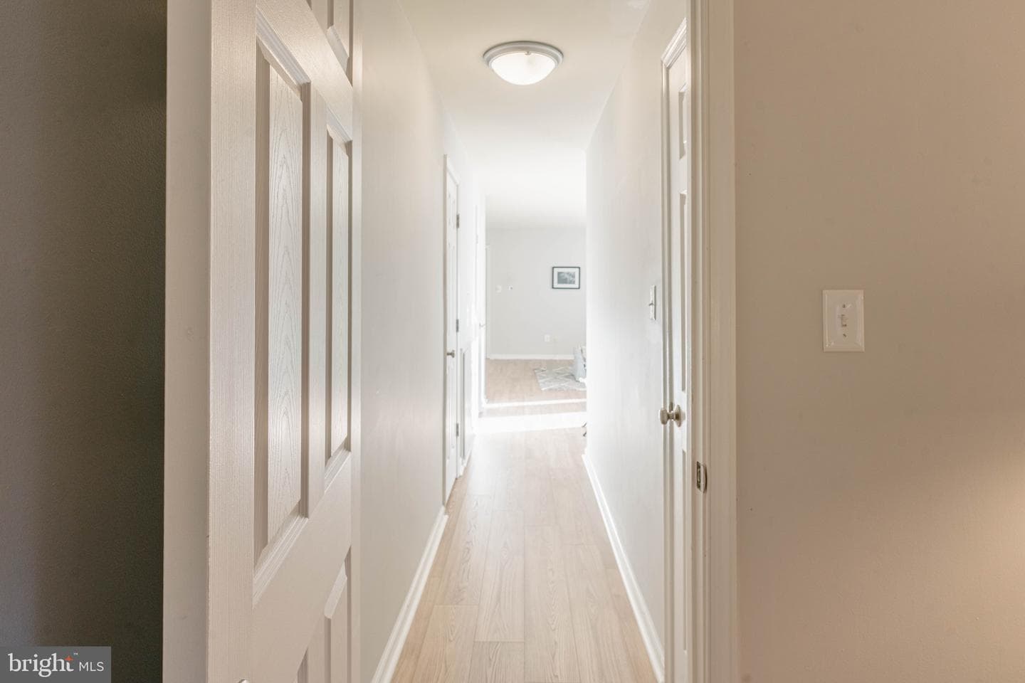 1805 William Street #209c photo 24