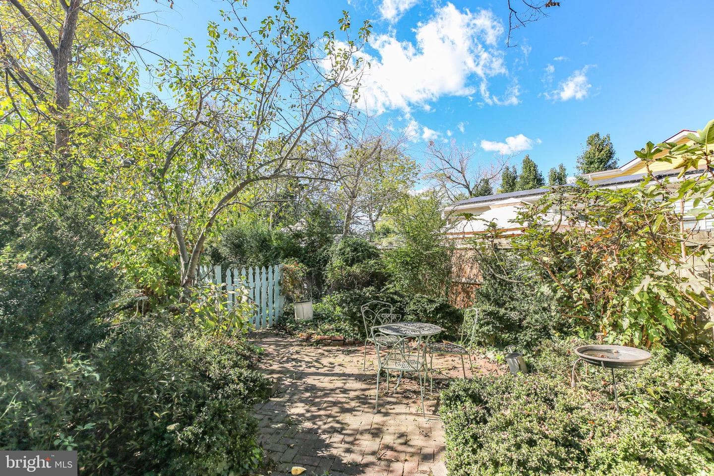 210 Princess Anne Street photo 20