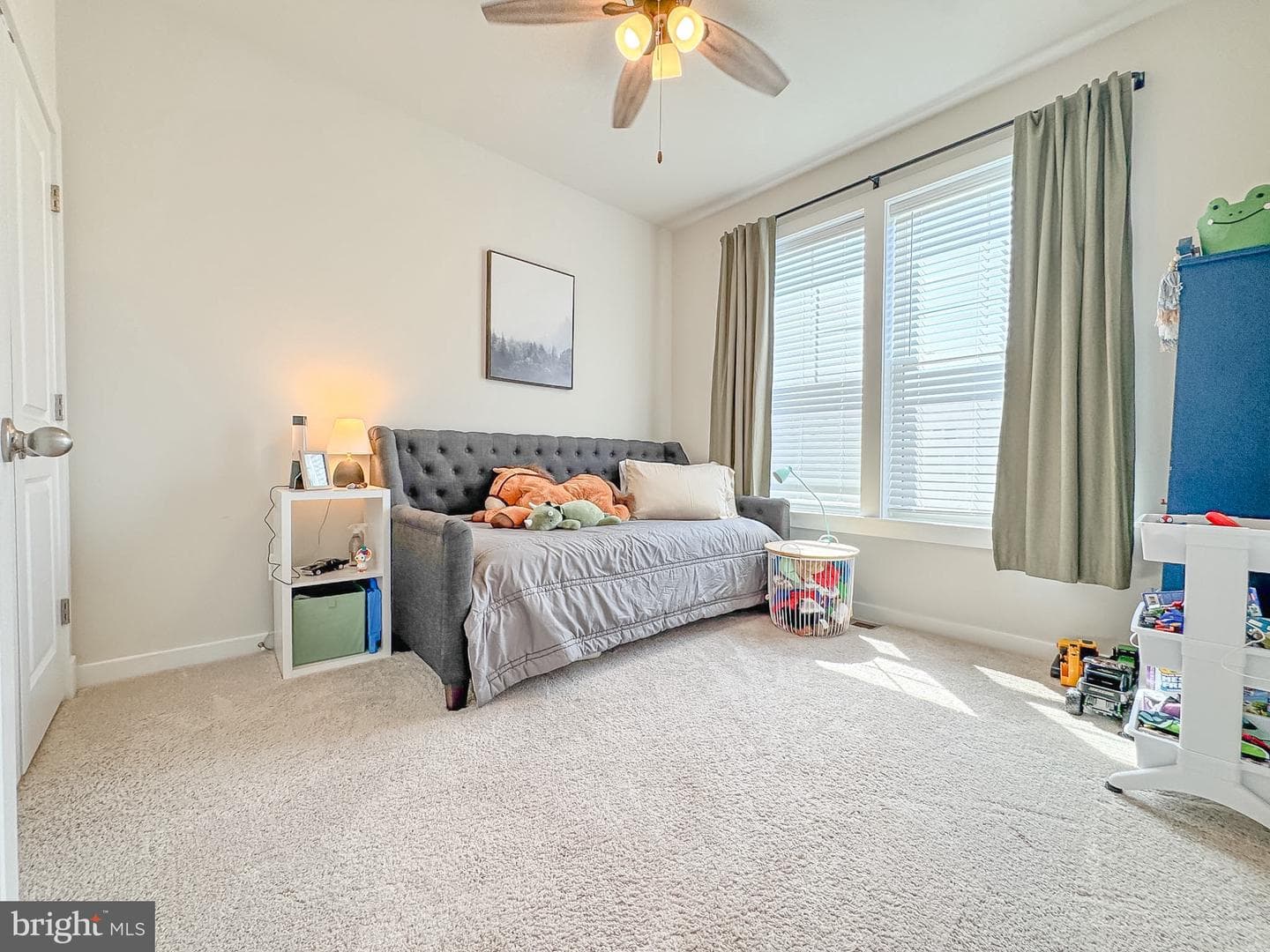 117 Beatson Street photo 30