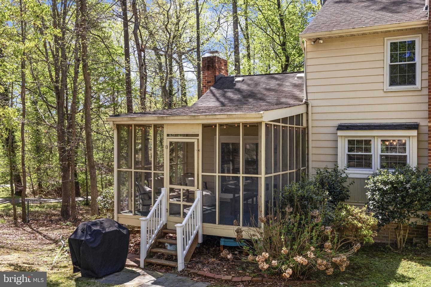 113 Poplar Drive photo 18