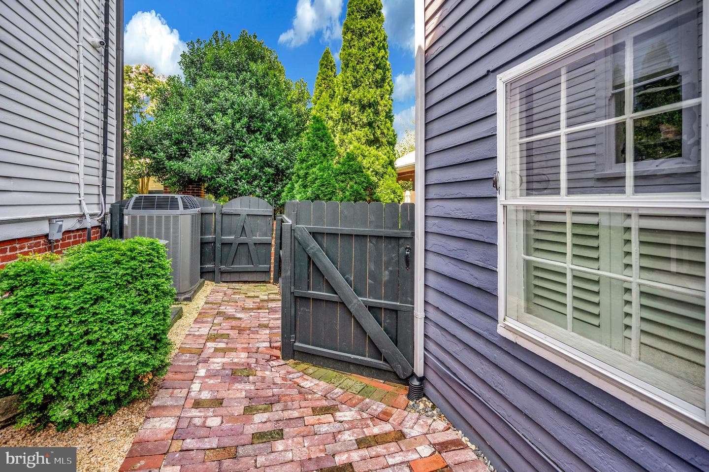 1102 Prince Edward Street photo 63