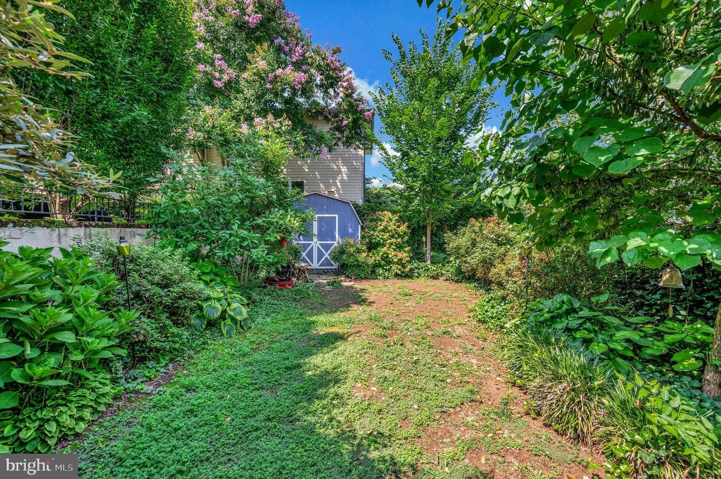 1102 Prince Edward Street photo 67