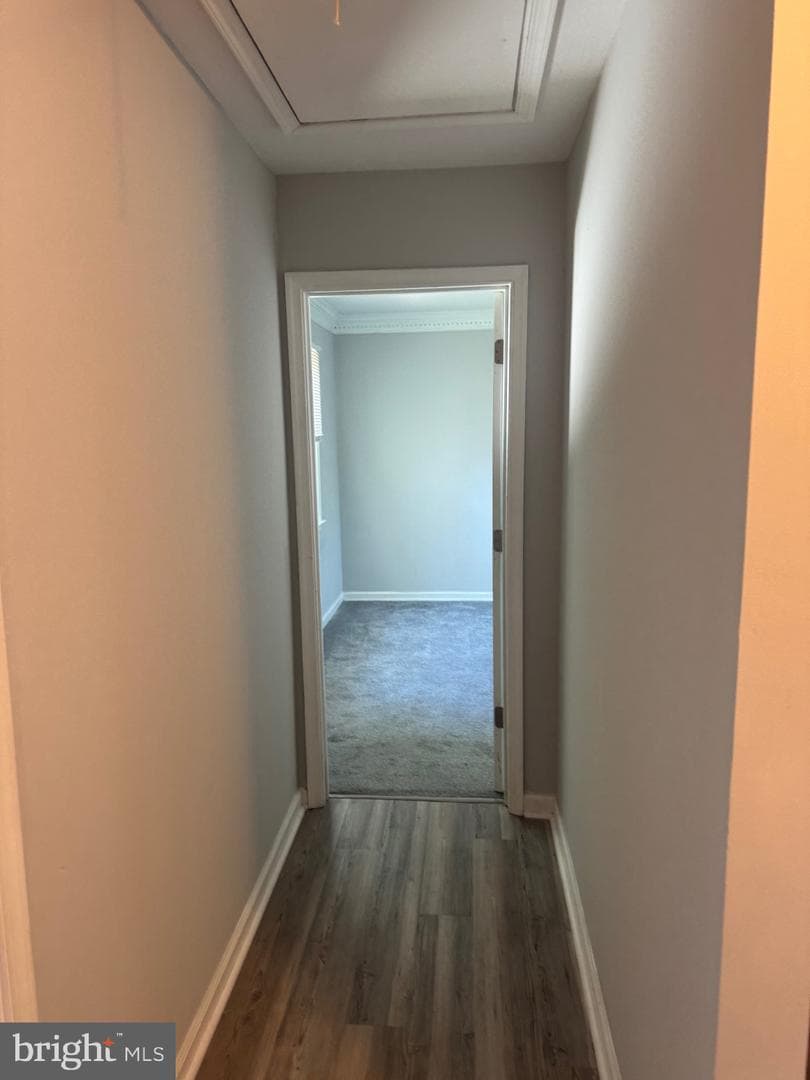 406 Canterbury Road photo 10