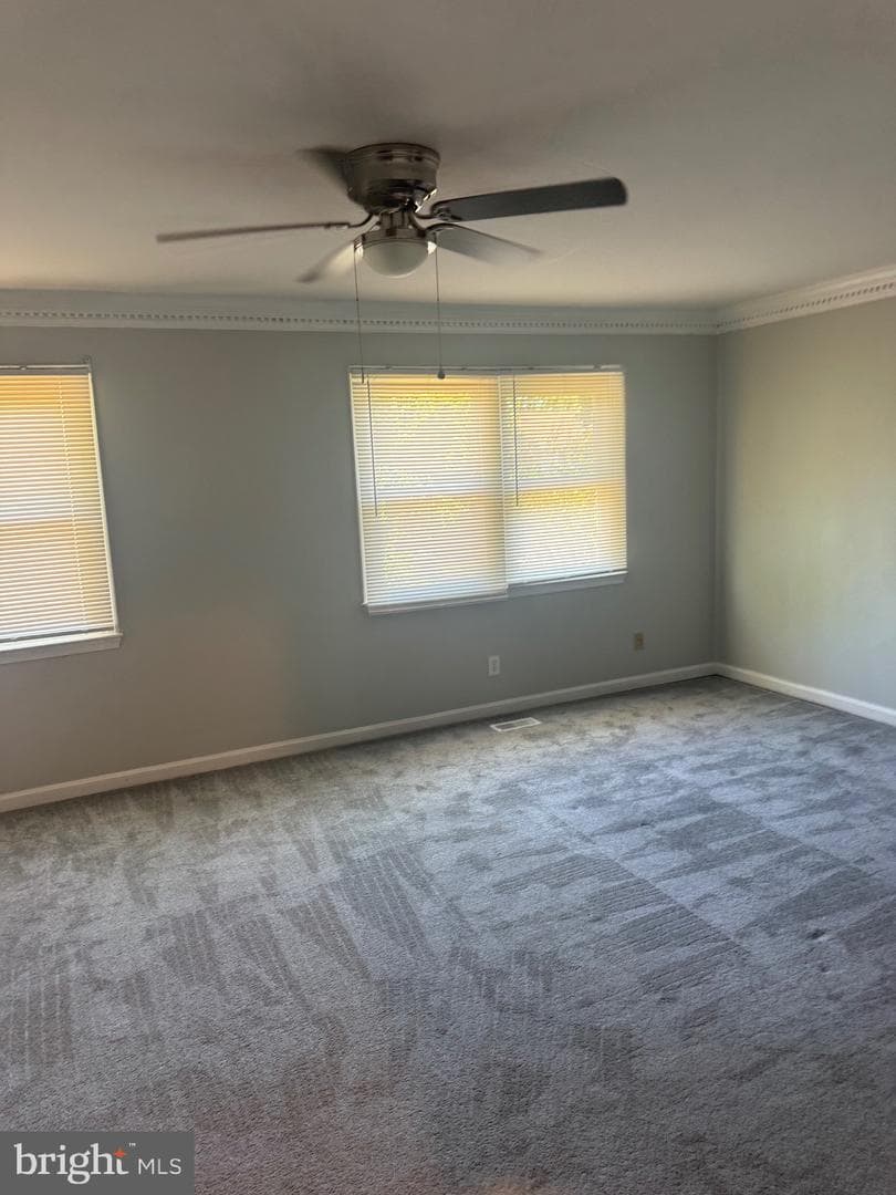 406 Canterbury Road photo 14