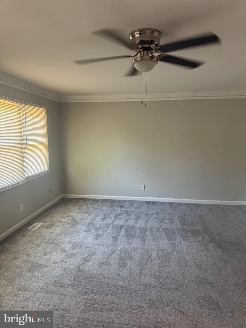 406 Canterbury Road photo 8