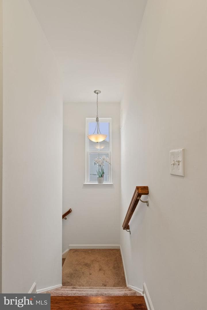 1316 Teagan Drive photo 26