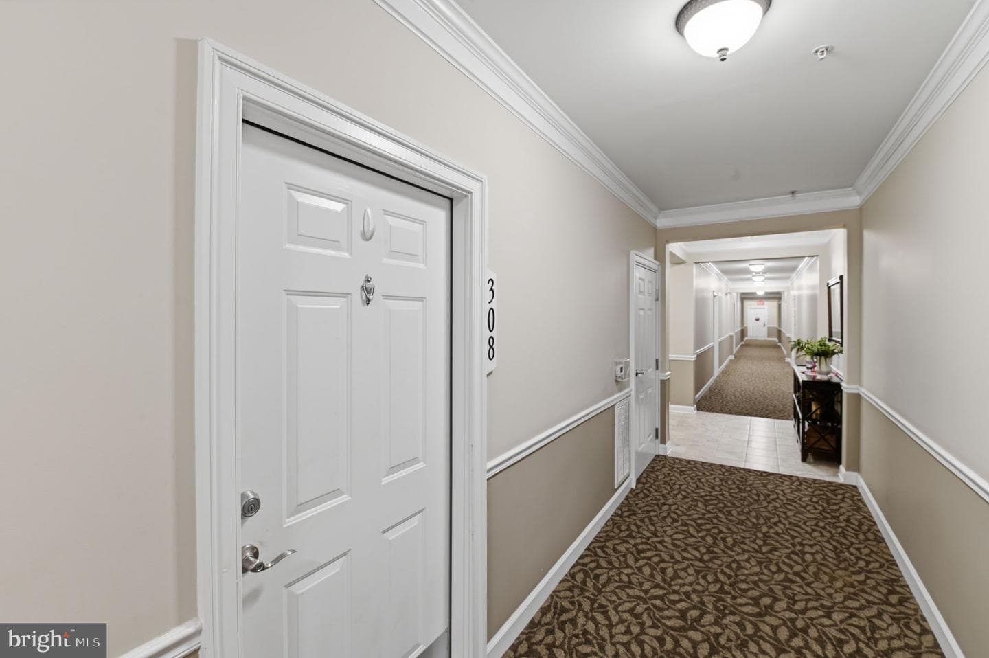 701 Cobblestone Boulevard #308 photo 3