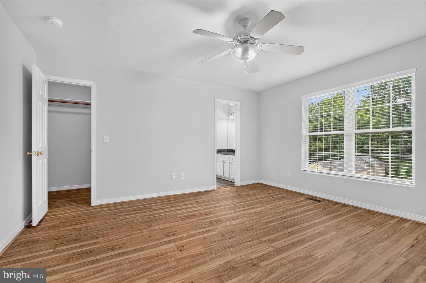 427 Palmer Street photo 22