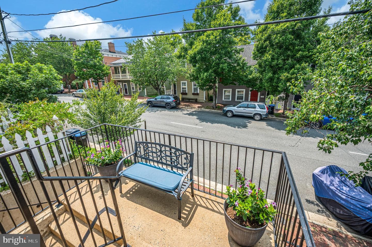 309 Princess Anne Street photo 11