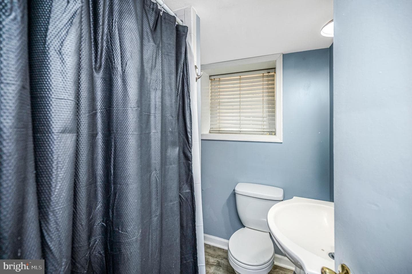309 Princess Anne Street photo 43