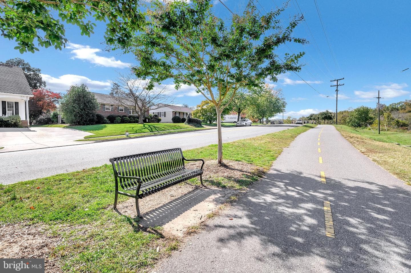 309 Princess Anne Street photo 65