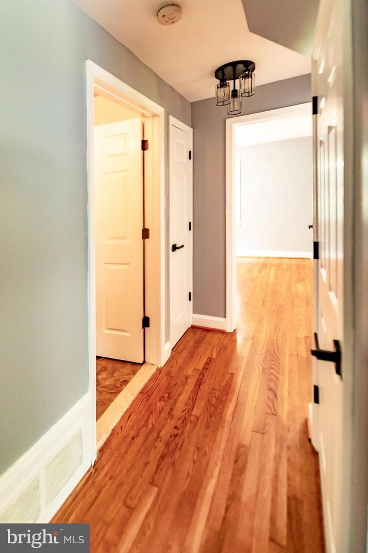 10729 Scott Drive photo 10