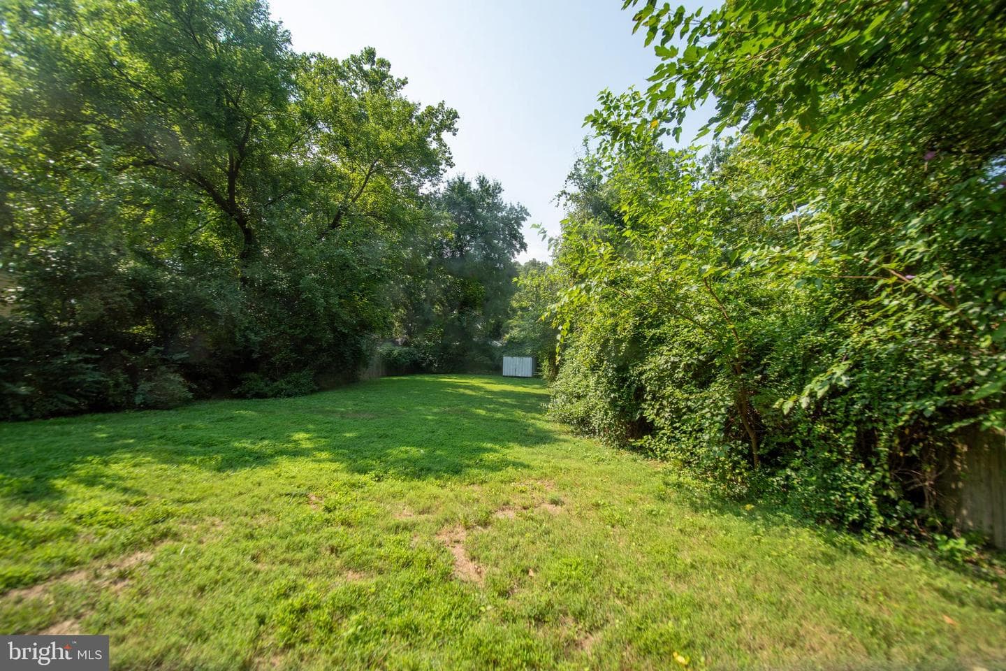 10729 Scott Drive photo 25