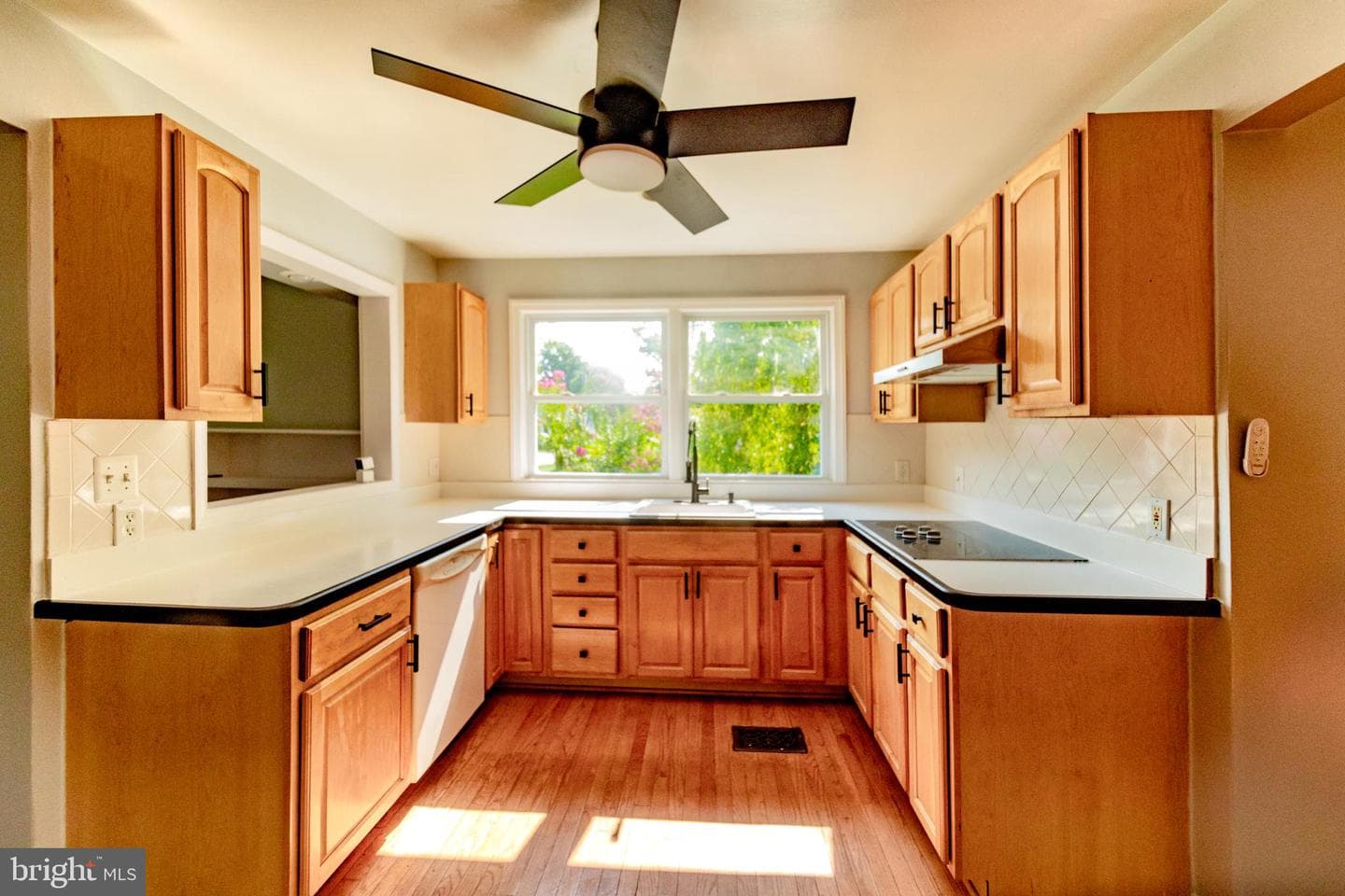 10729 Scott Drive photo 5
