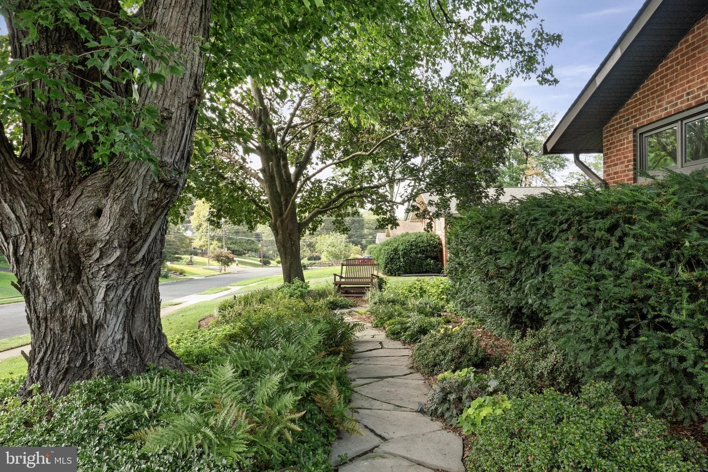 3506 Spring Lake Terrace photo 61