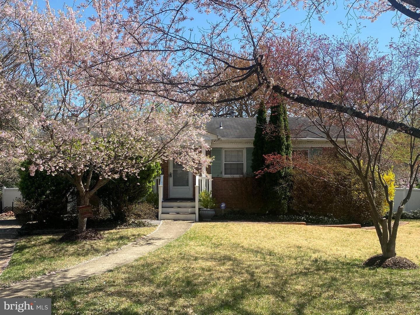 3113 Jessie Court photo 1