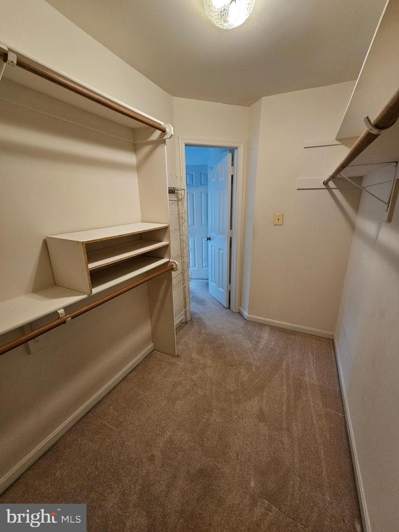 10450 Courtney Drive photo 42