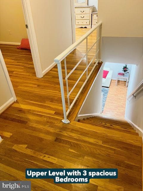10123 Fair Woods Drive photo 23