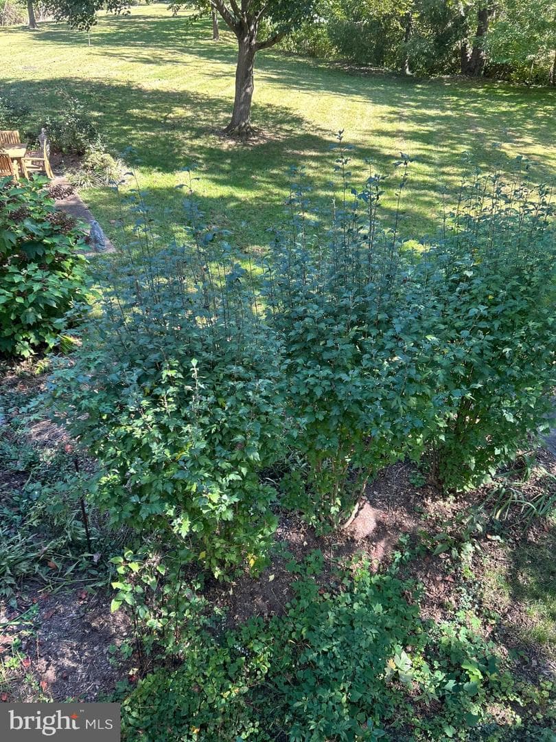3889 Tusico Place photo 37
