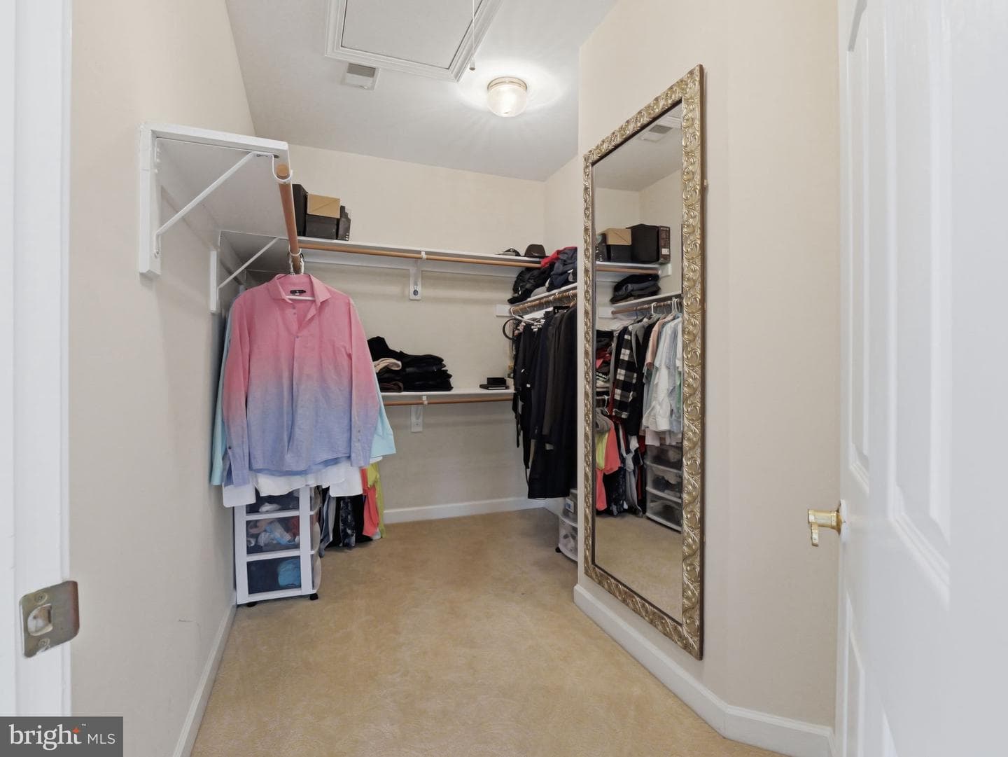 10123 Ratcliffe Manor Drive photo 110