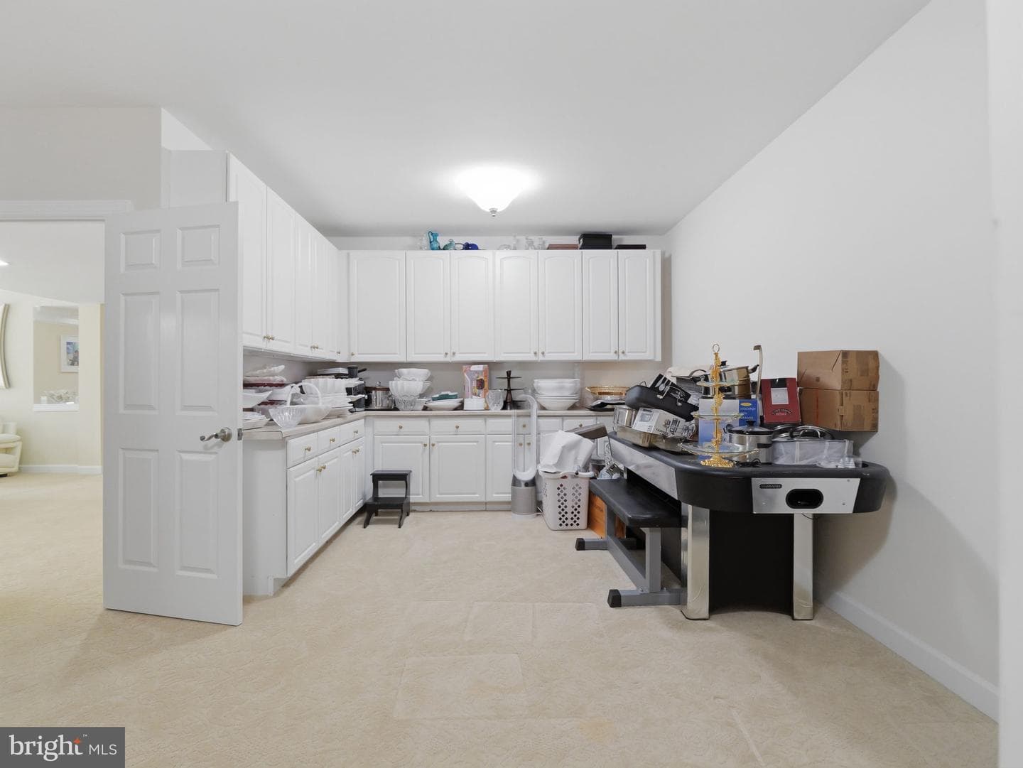 10123 Ratcliffe Manor Drive photo 31