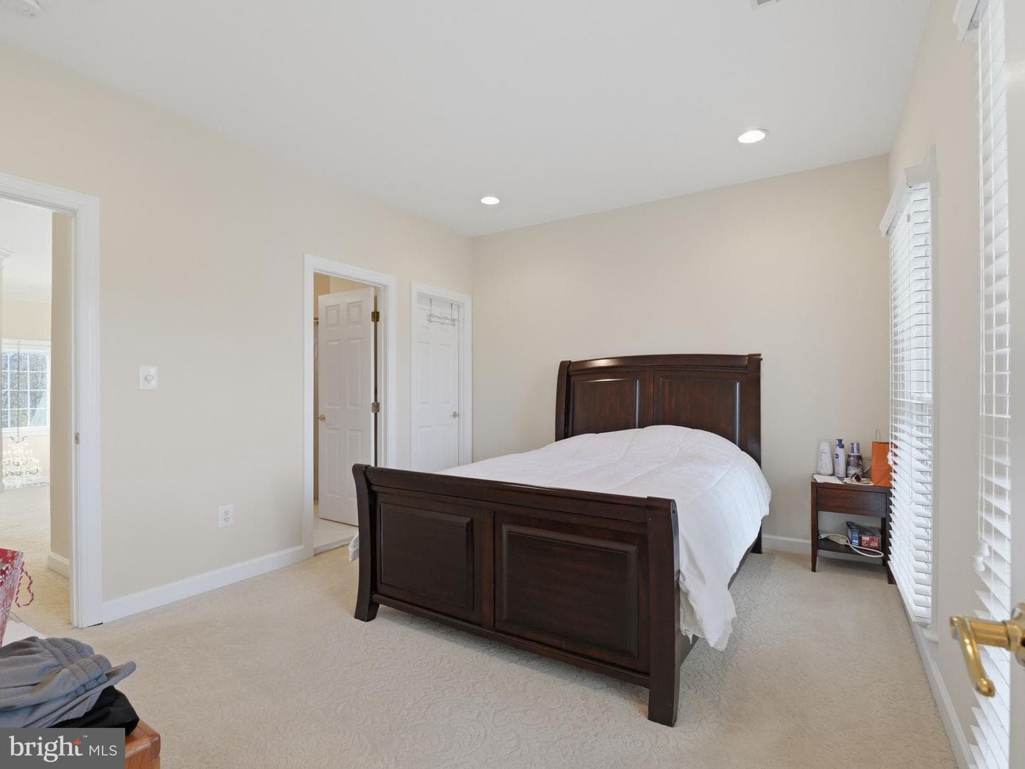 10123 Ratcliffe Manor Drive photo 95