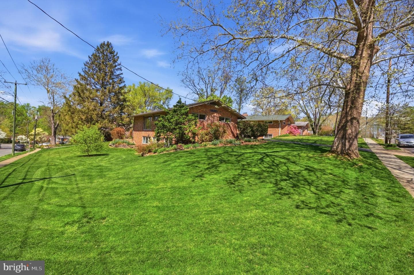 9924 Pinehurst Avenue photo 36