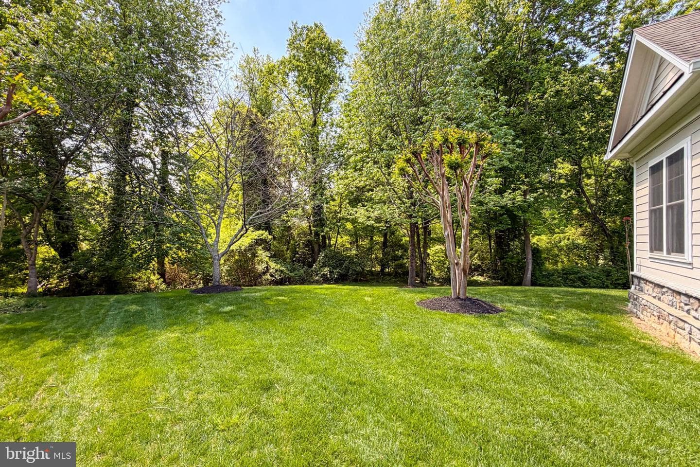 10505 Taba Cove Court photo 77