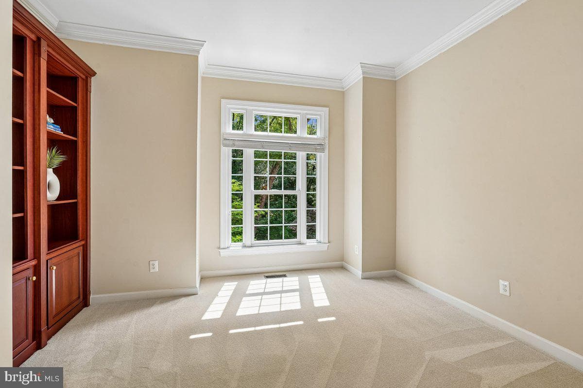 3853 Lewiston Place photo 20