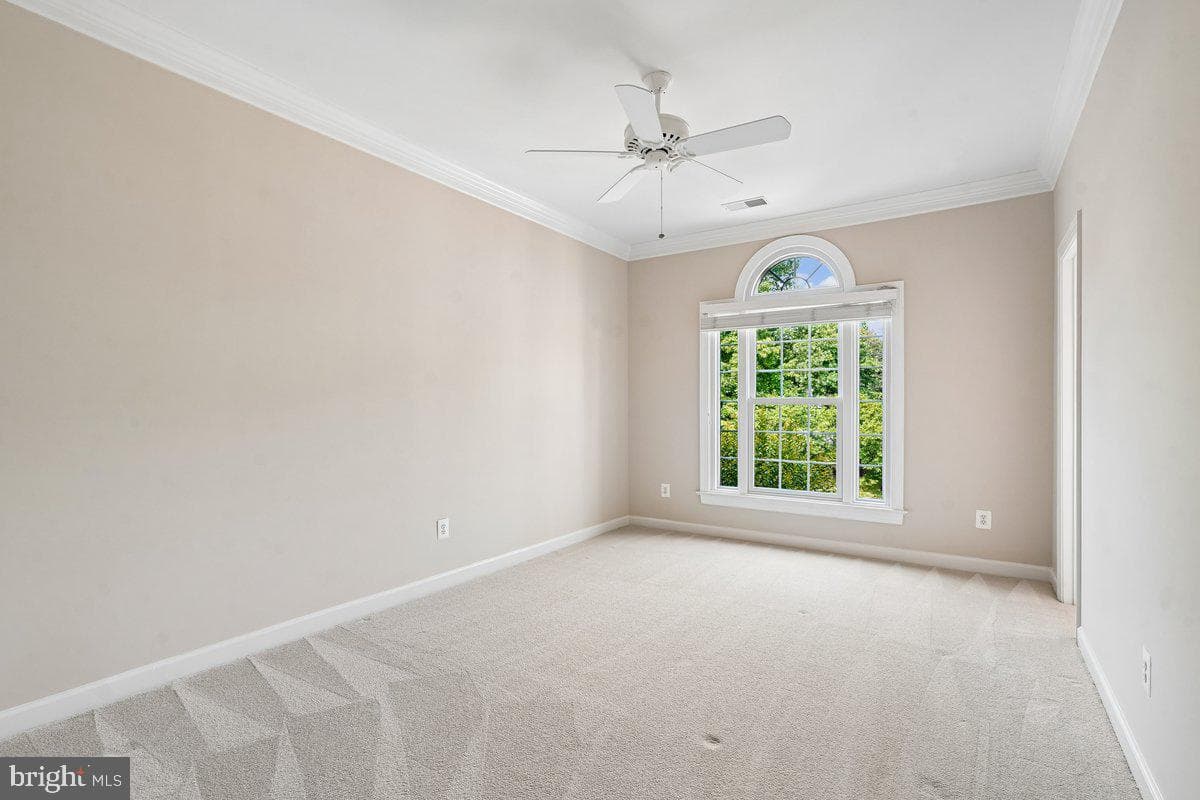 3853 Lewiston Place photo 33