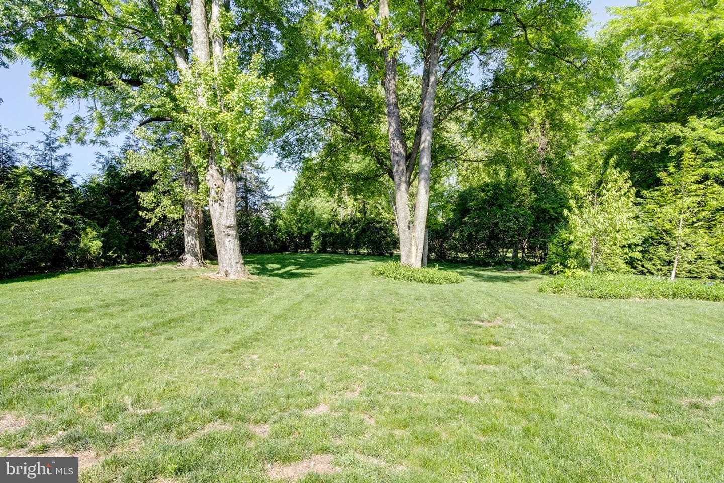 10501 Oak Place Ct photo 48