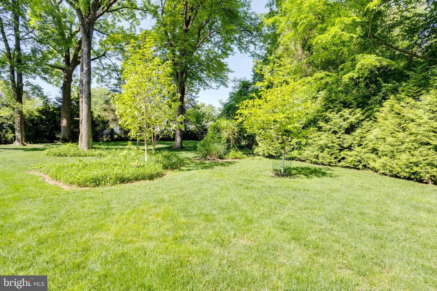 10501 Oak Place Ct photo 49