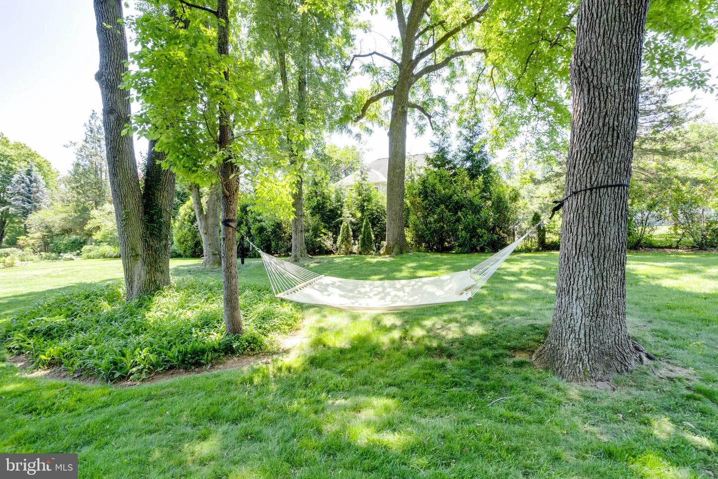 10501 Oak Place Ct photo 50