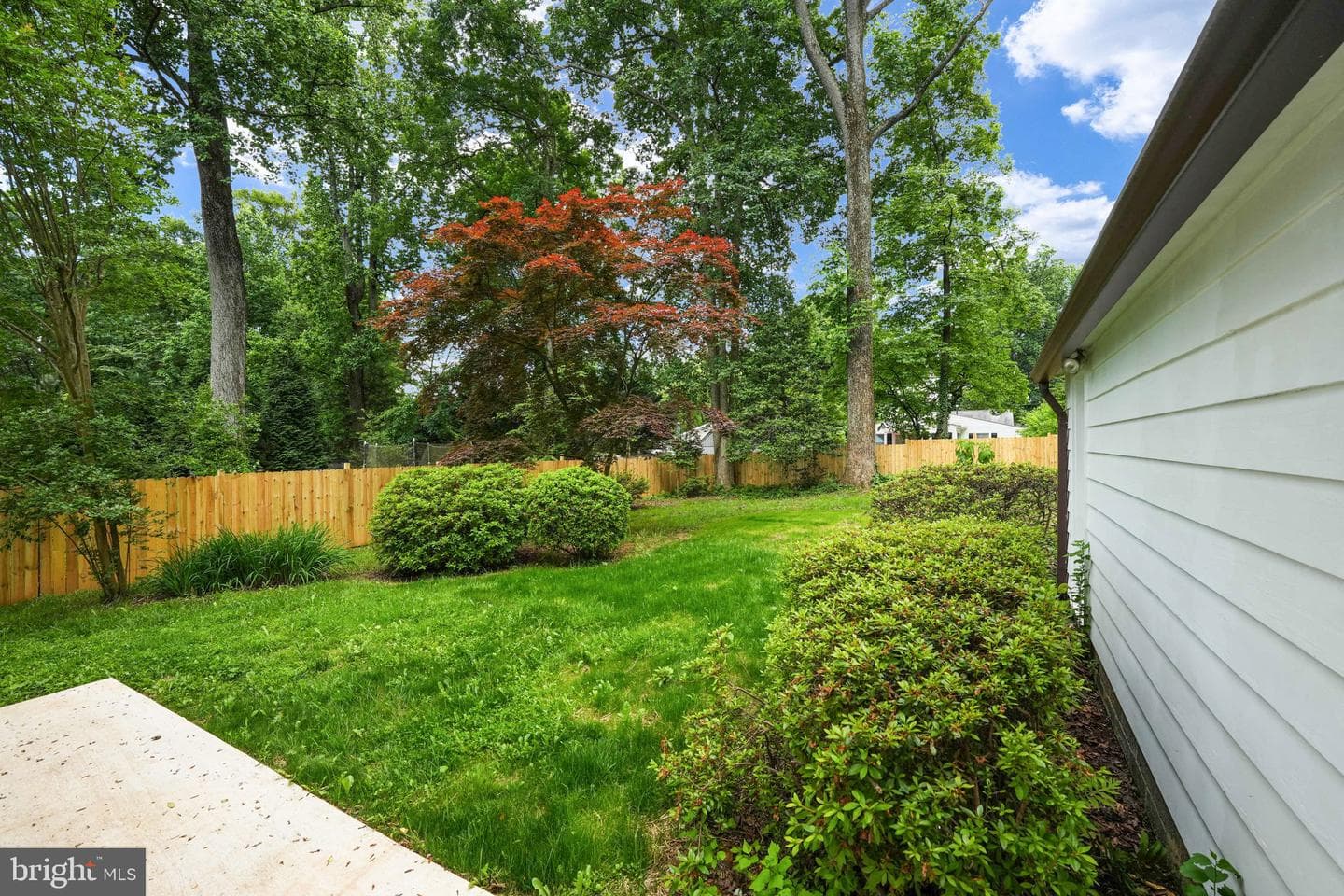 10811 Scott Drive photo 52