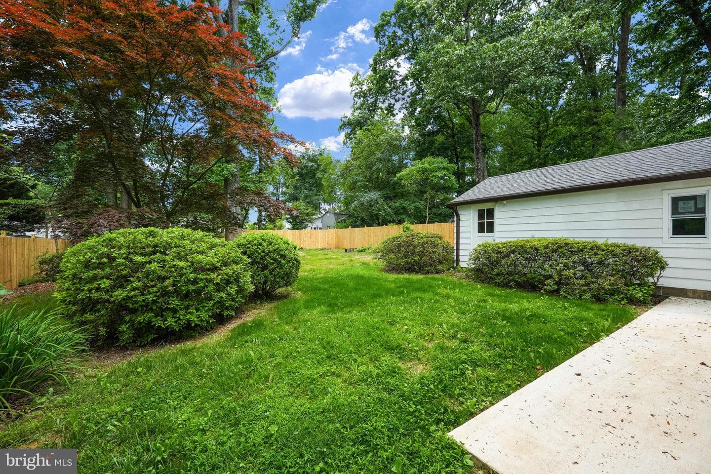 10811 Scott Drive photo 53