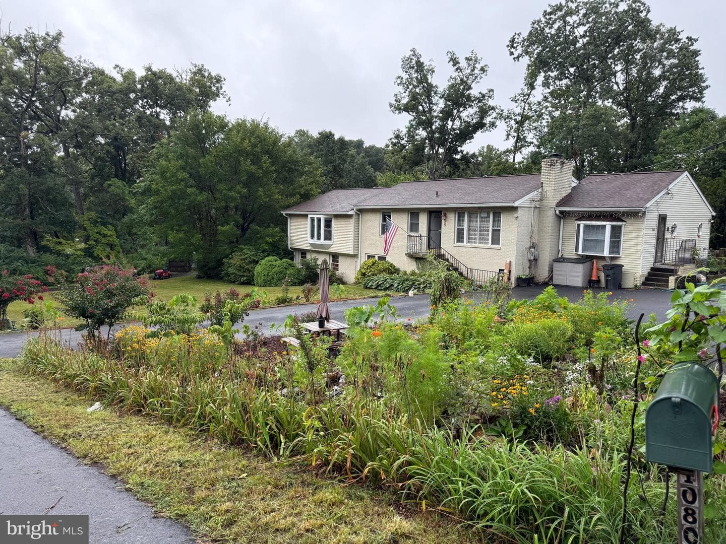 10805 Carol Street photo 1