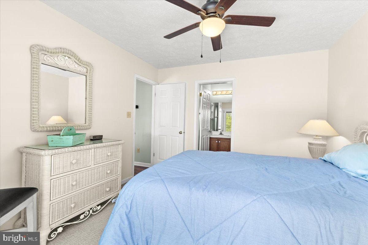 290 Dodee Lane photo 20