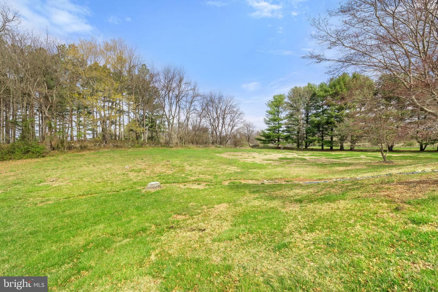 8839 Grasslands Court photo 43