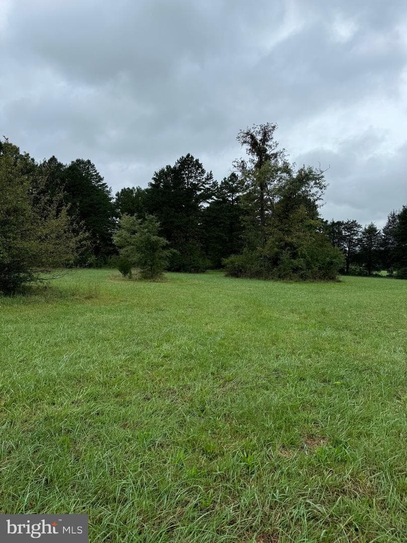 12553 Lucky Hill Road photo 14
