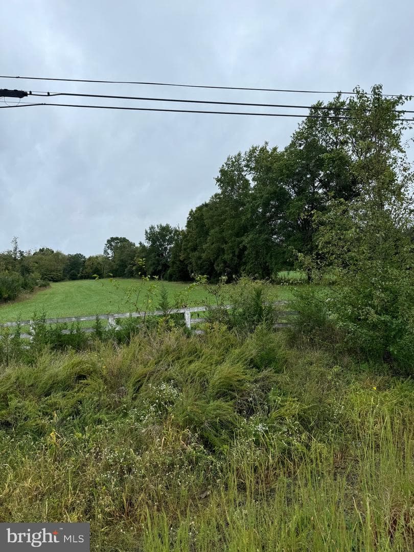 12551 Lucky Hill Road photo 5