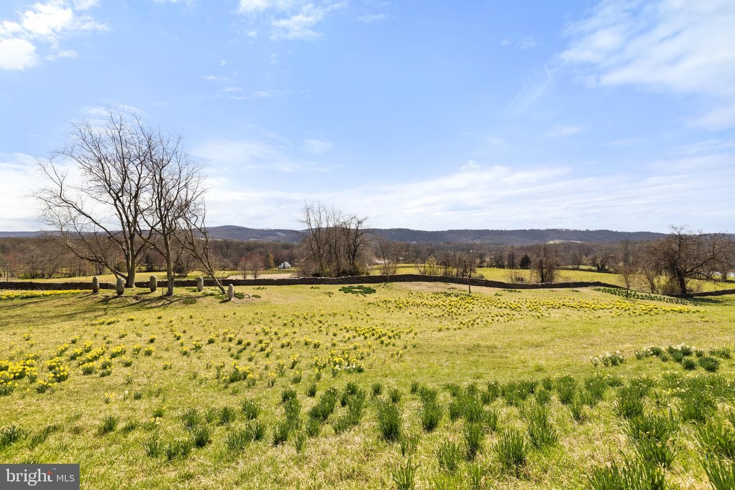 6278 Rock Hill Mill photo 21