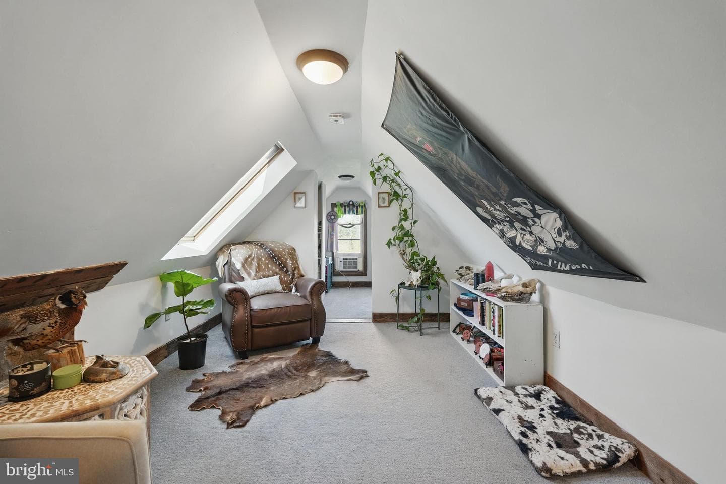 507 Winchester Street photo 42