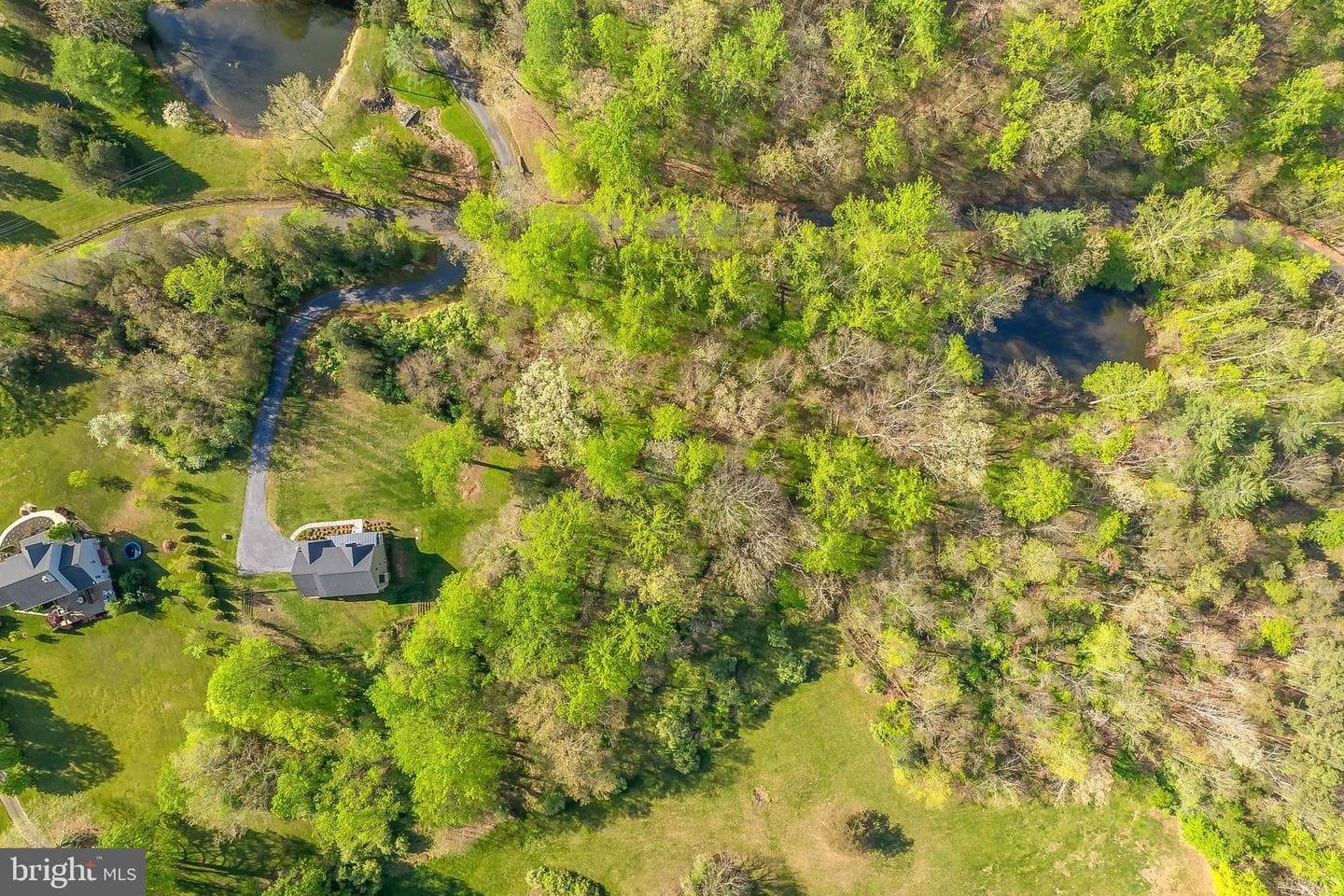 9480 Piney Mountain Road photo 65