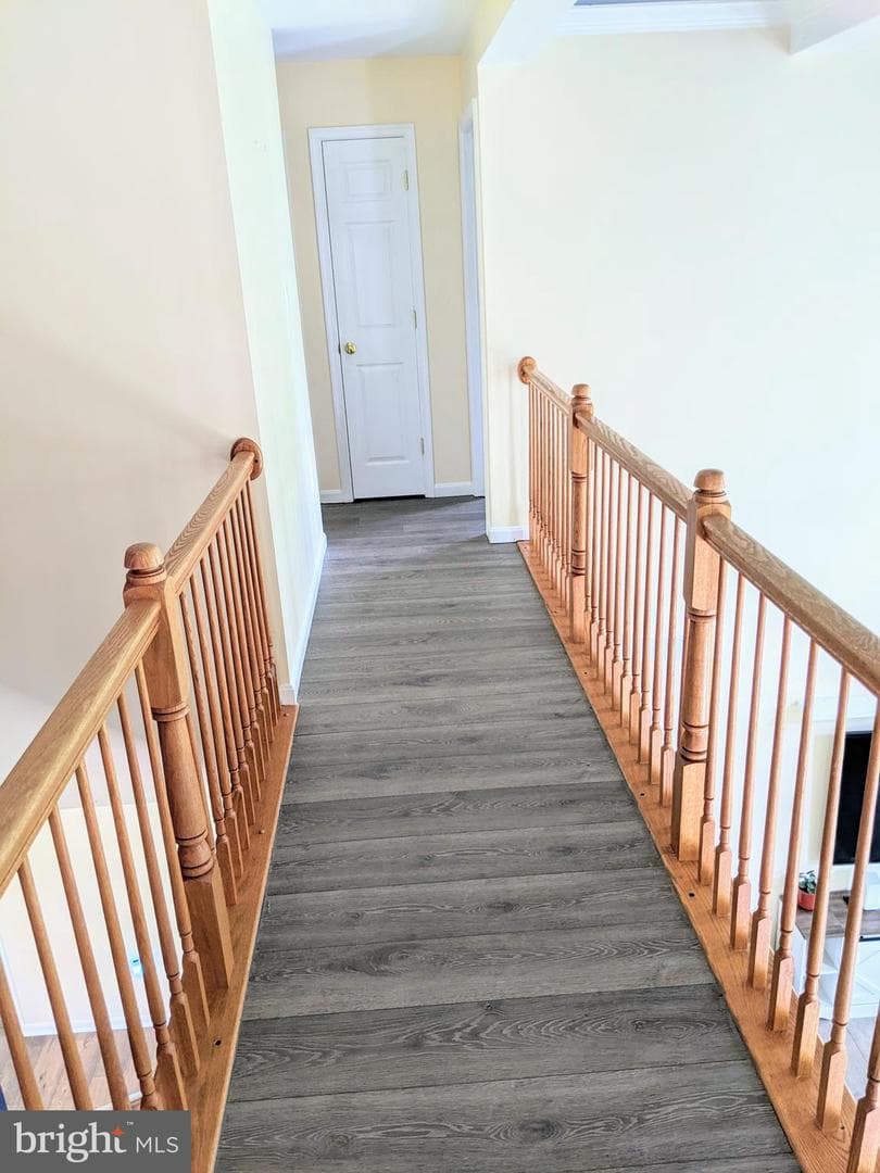 10816 King Nobel Lane photo 38