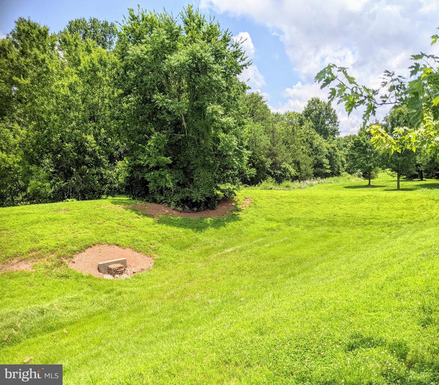 10816 King Nobel Lane photo 70