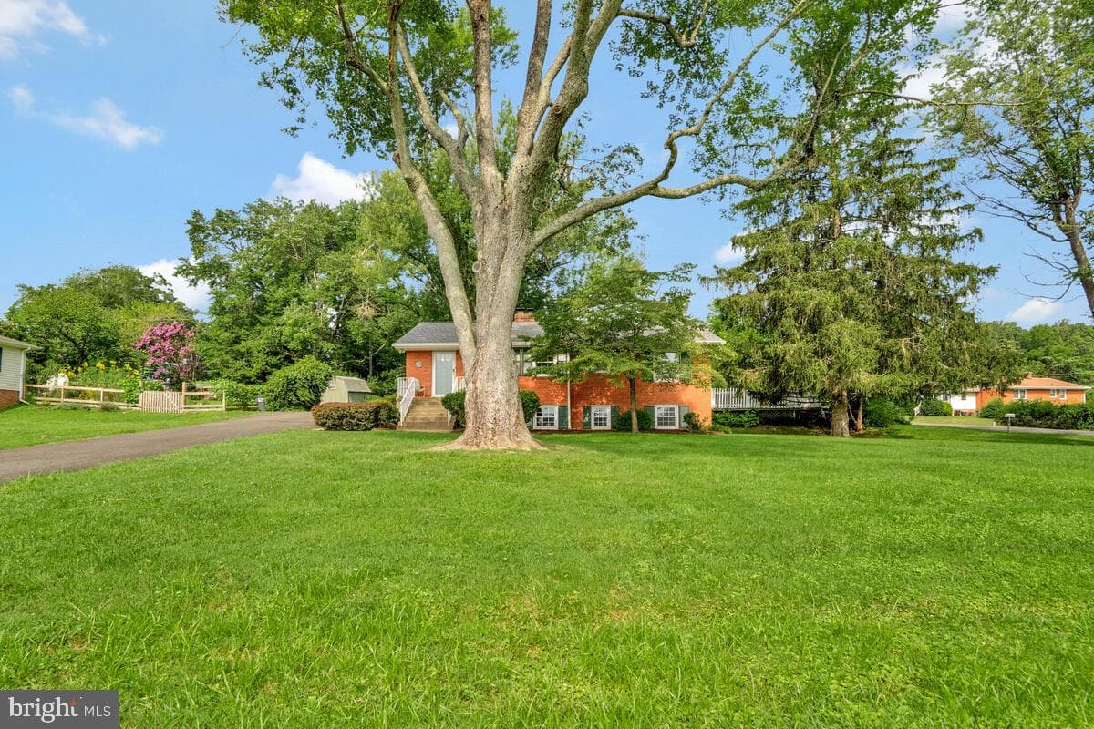 6430 Cannon Drive photo 3