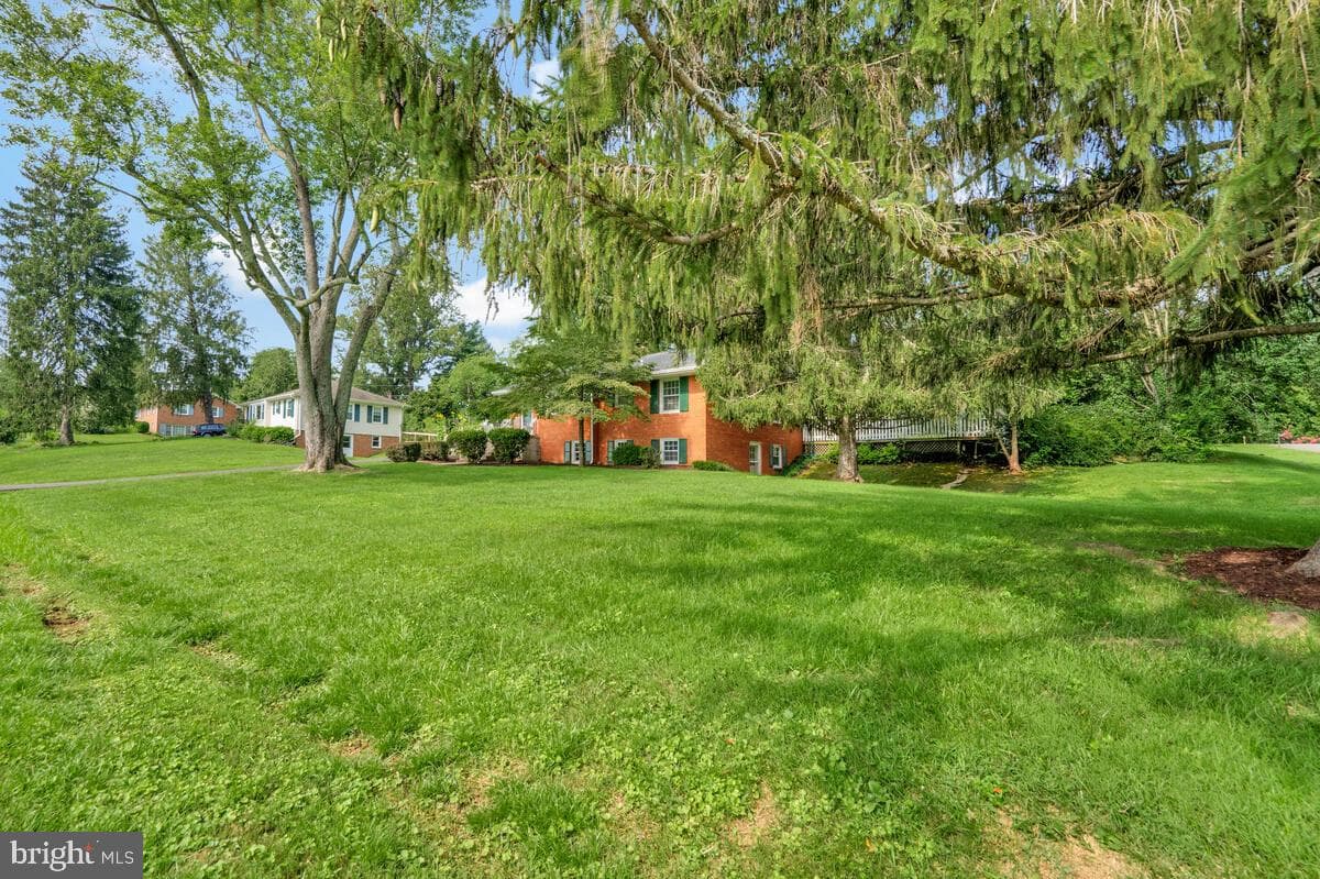 6430 Cannon Drive photo 4