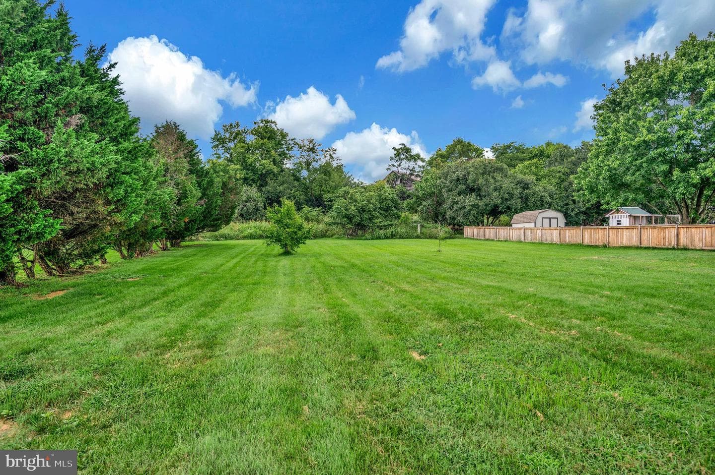 11264 Falling Creek Drive photo 30